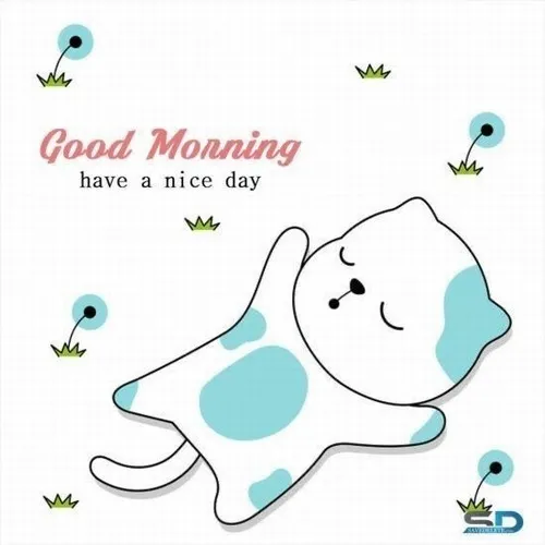 Hình meme sáng dễ thương đang được yêu thích trên TikTok