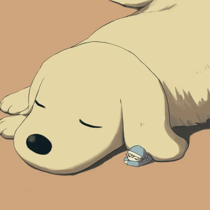 Hình chế chó buồn ngồi im nhìn bóng mình phản chiếu