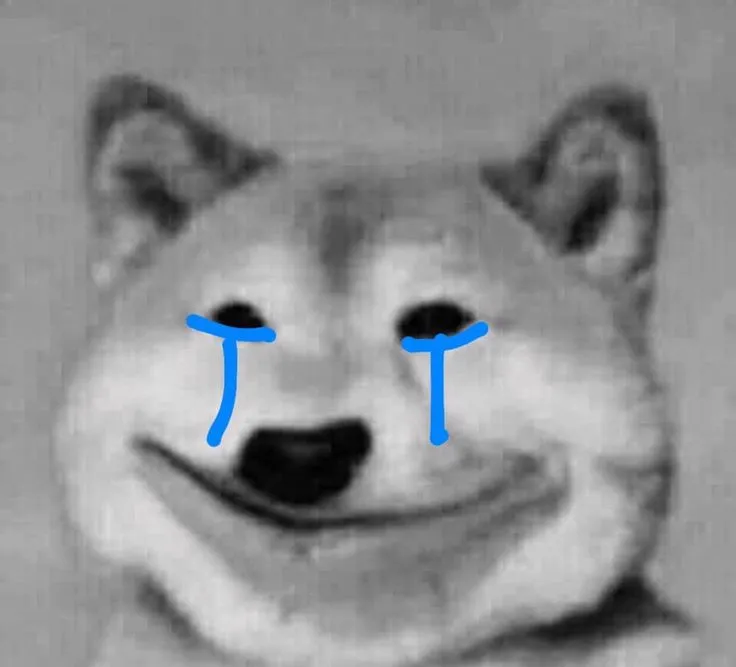 Ảnh vui chó buồn ánh mắt ướt đẫm cảm xúc lạc lõng