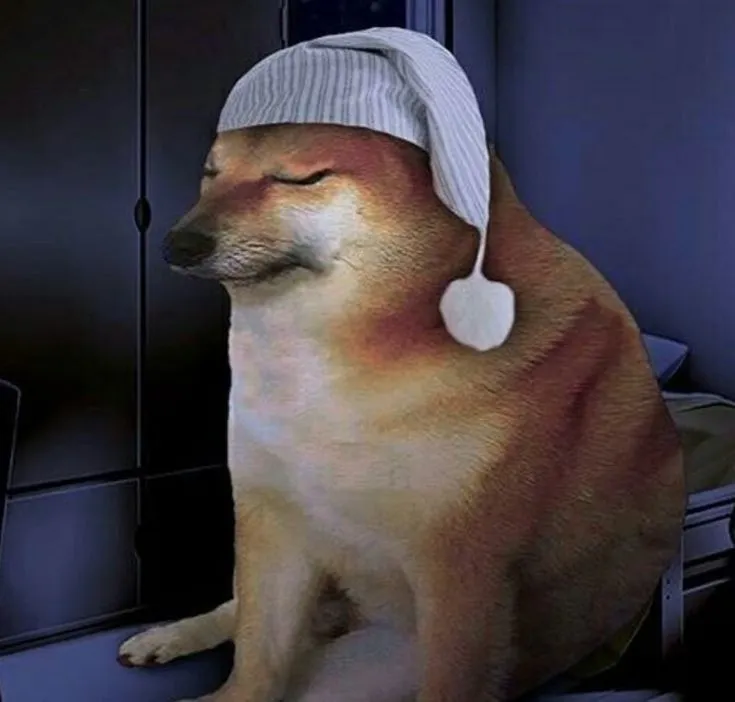 Meme troll chó buồn bơ phờ trong đêm lặng