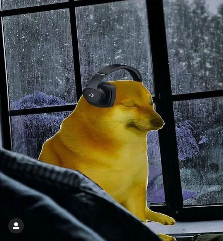 Meme chế chú chó trầm tư ánh mắt mong manh