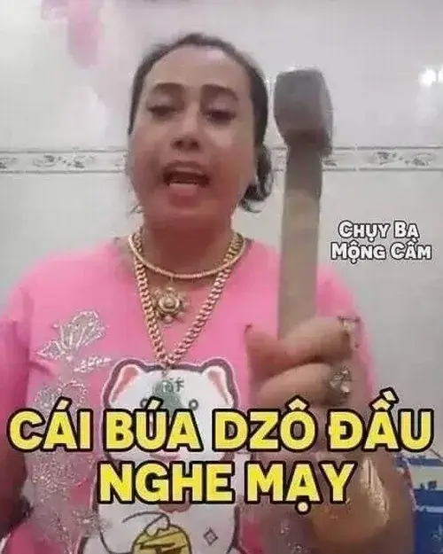 Meme troll chửi thề nghe thô nhưng lại khiến người xem cười.