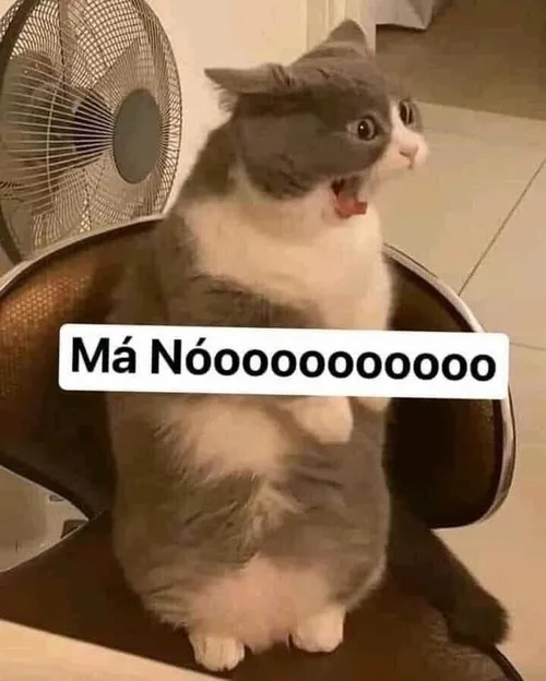 Meme mèo chửi tục: Thô nhưng thật, tục mà duyên