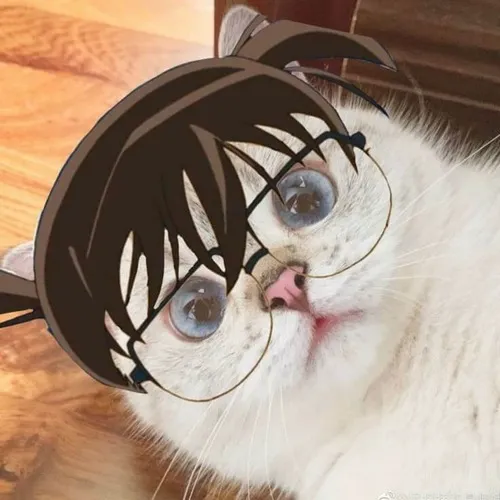 Hình chế meme vui Conan đứng nghiêm như đang ra lệnh