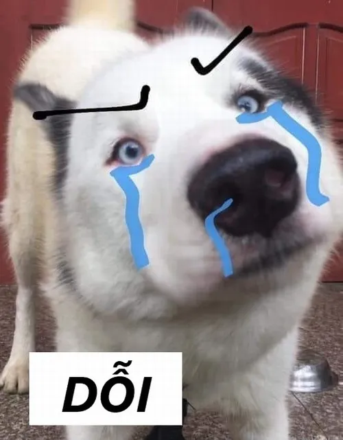 Meme hài dỗi đáng yêu dùng trong comment mạng xã hội