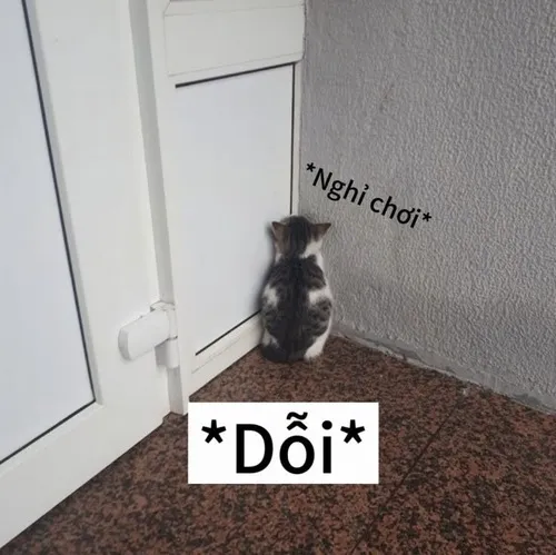 Ảnh troll bạn thân dỗi nhẹ qua sticker Zalo cực hợp mood