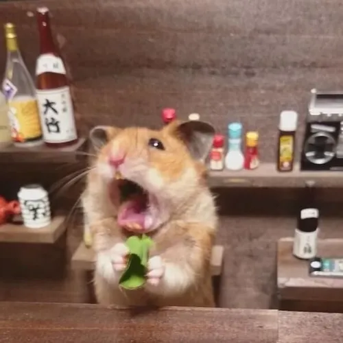 Meme hài biểu cảm run lẩy bẩy hoảng loạn