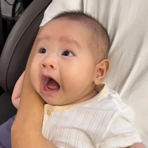 Ảnh meme em bé bàng hoàng dùng màu pastel đối lập, tạo cảm giác phi lý mà hài