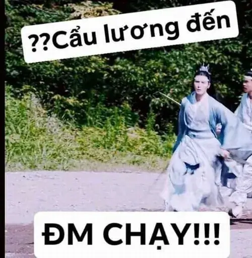 Meme vui có chữ: Cẩu lương đến, đm chạy