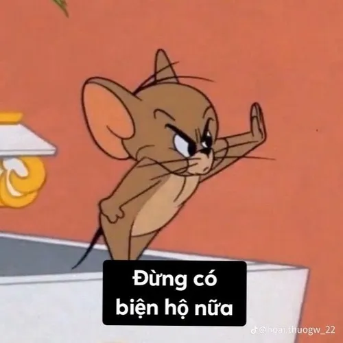 Meme hài im mồm biểu cảm khinh nhẹ cực hợp dân mạng