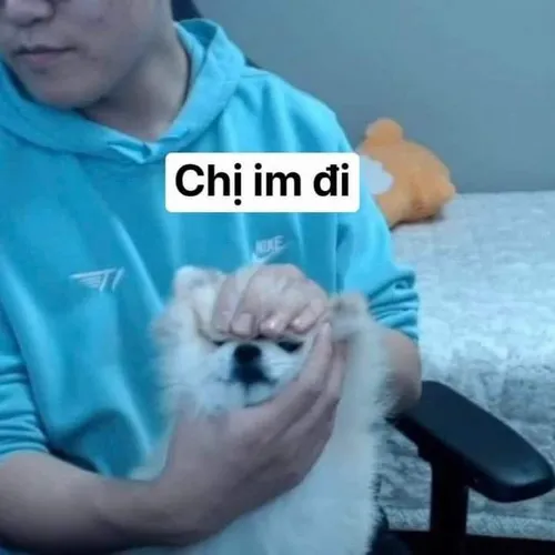 Meme chế im mồm đi khuôn mặt gắt chuẩn dân cà khịa