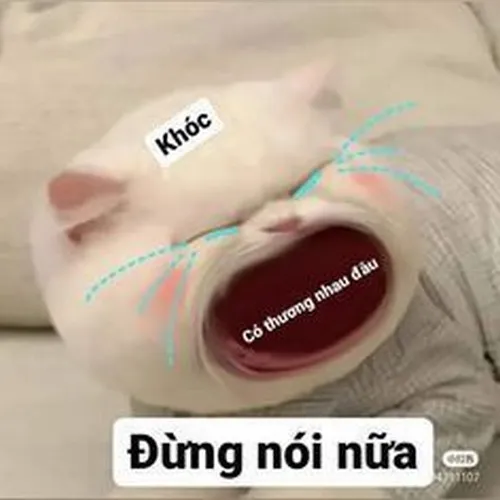 Meme hài câm mồm nét mặt cay nhưng vẫn buồn cười