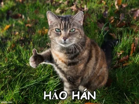Hình meme hài đại hiệp giang hồ ra tay nghĩa hiệp