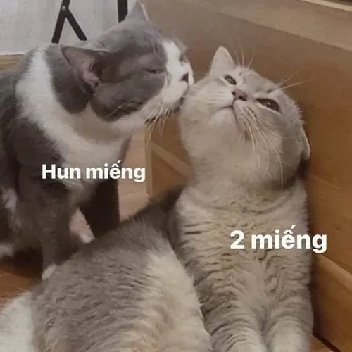 Ảnh vui hôn gió thể hiện sự nhí nhảnh của bạn trẻ.