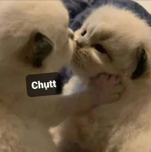 Hình troll hôn gió mô phỏng cảnh trêu đùa giữa hai người.