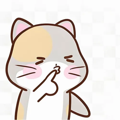 Meme mèo hài “im phăng phắc” chuẩn cảm xúc dân văn phòng