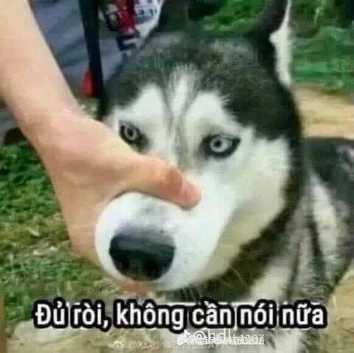 Meme chế khuôn mặt im lặng phản ứng cực mạnh
