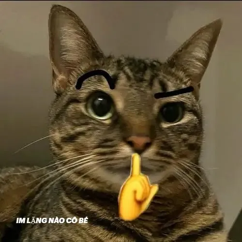 Meme mèo Im lặng nào cô bé