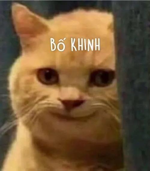 59 Ảnh chế ánh nhìn vương giả nhìn xuống