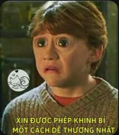 51 Hình troll biểu cảm miệt thị sắc lẹm