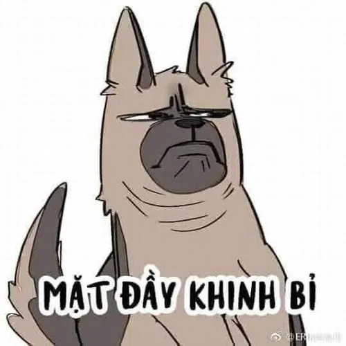 4 Khi meme chó khinh trở thành biểu tượng của thần thái Gen Z