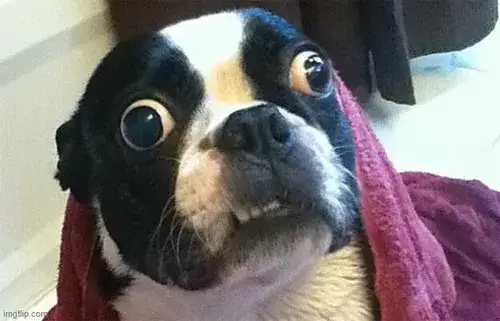 Meme hài tay gãi đầu cố hiểu logic