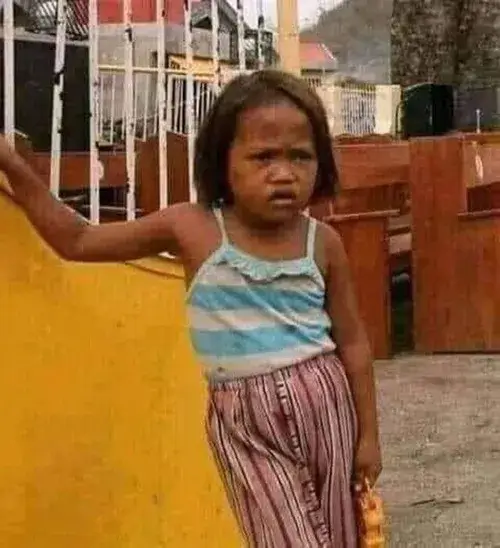 Ảnh troll biểu cảm “ơ kìa” của mèo đen siêu ngộ nghĩnh