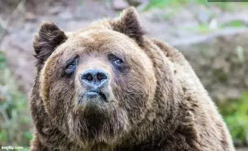 Meme chế gương mặt lệch tông khi nghe tin bất ngờ trên mạng