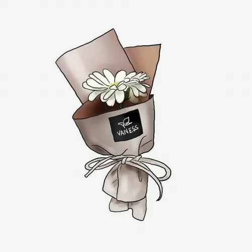 Meme hài bó hoa giấy khiến người nhận bối rối