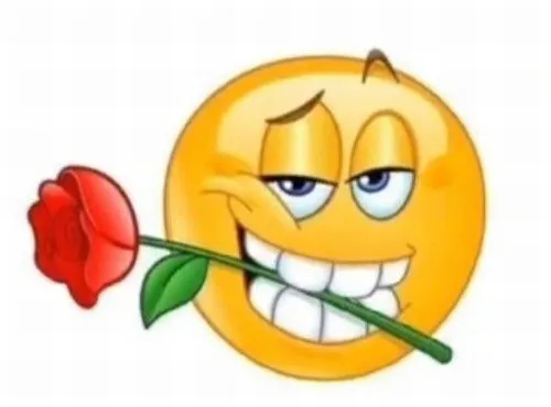 Ảnh chế bó hoa nhỏ xinh tặng em gái trong ngày khai giảng