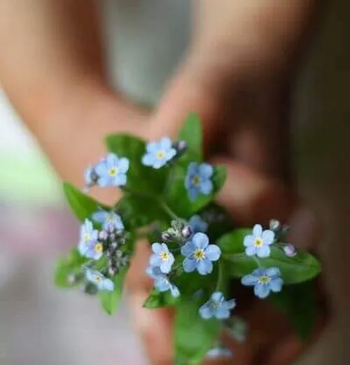 Ảnh vui khoảnh khắc nhận hoa trong lễ tốt nghiệp