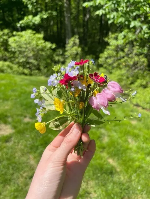 Ảnh vui bó hoa tulip pastel tặng người thân yêu đầy tinh tế