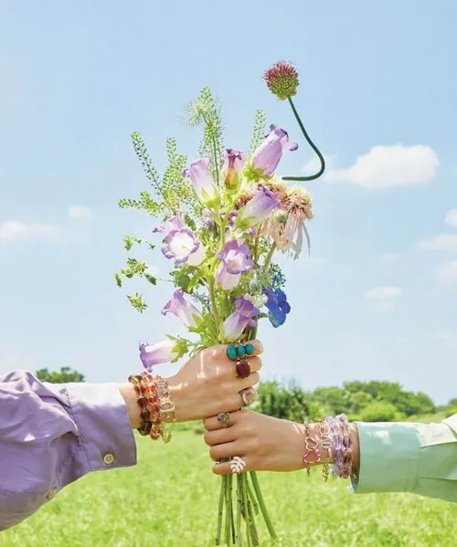 Hình chế bó hoa hồng phấn lãng mạn trong ánh hoàng hôn