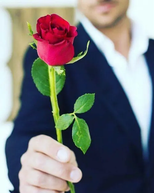 Meme hài bó hoa giả như thật, tặng mà vẫn sang xịn