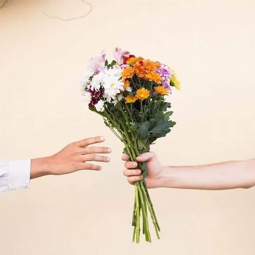 Meme chế bó hoa hướng dương khổng lồ tràn đầy năng lượng