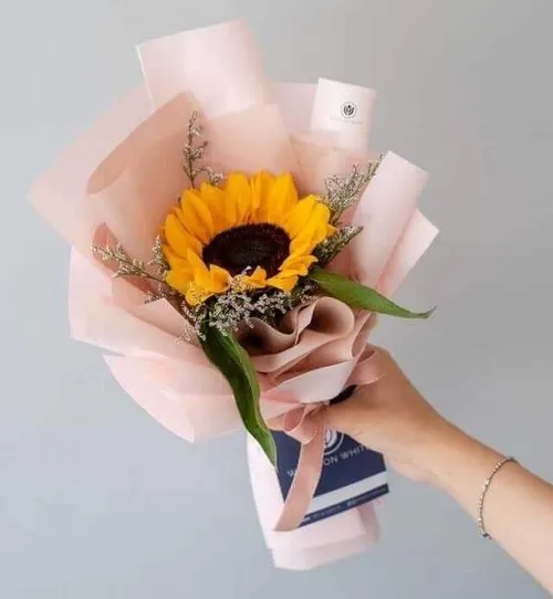 Ảnh chế bó hoa hoa cẩm tú cầu tròn đầy, tượng trưng may mắn