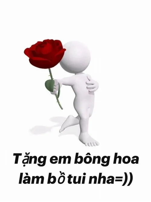 Hình troll người yêu tặng hoa nhăn nhúm