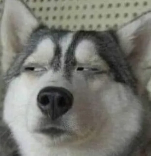 Hình troll biểu cảm đơ khiến người xem cười rớt nước mắt