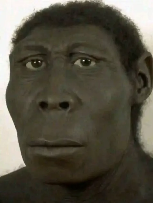 Ảnh vui dân mạng troll nhẹ bằng caption “Ủa mày bị ngáo không”