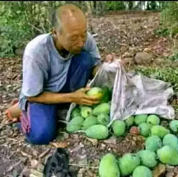 Tokuda ông chú Nhật khiến cộng đồng mạng dậy sóng mạnh.