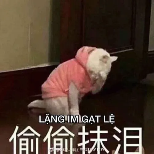 Meme Douyin mang tiếng cười nhẹ nhưng gợi suy ngẫm sâu xa