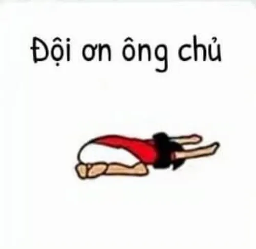 Meme Trung Quốc pha trò phản ánh giới trẻ mệt mỏi với xã hội