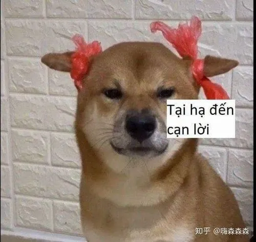 Ảnh chế Trung Quốc lấy cảm hứng từ đời sống công sở căng thẳng