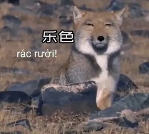 Meme lan truyền thể hiện tâm lý chán việc, ngại yêu của dân văn phòng