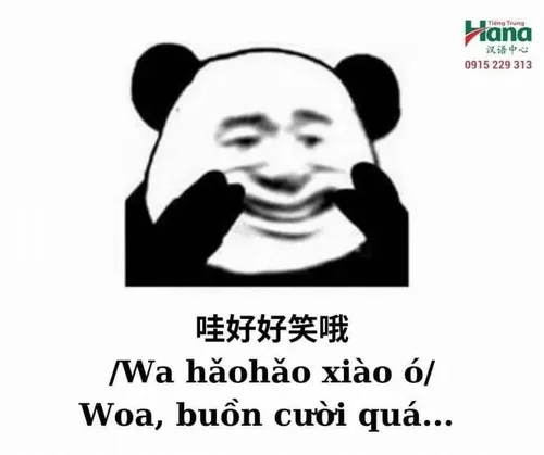 120+ Meme Trung Quốc hài hước tạo tiếng cười cho các khoảnh khắc thường ngày