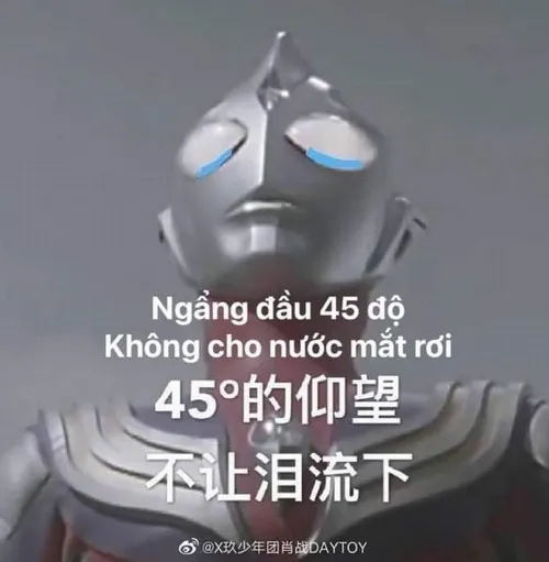 Meme hài thể hiện cách dân mạng Trung Quốc “sống sót bằng cười”