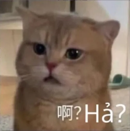 Meme Trung Quốc kết hợp chữ, hình và cảm xúc tạo hiệu ứng lan truyền