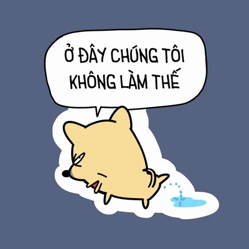 Meme dân văn phòng cười cay với bảng báo cáo