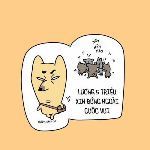 24 Ảnh vui khi Google Meet báo mạng yếu giữa họp