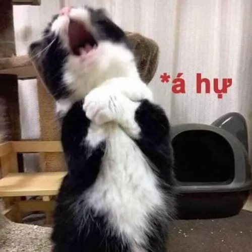 Ảnh thương nhớ độ lệch của gam nâu tạo cảm giác mỏi.